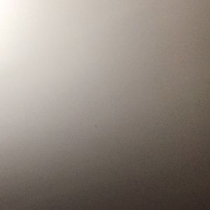 Meet your Posher, Bayan